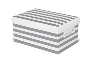 CAIXA POLIBRAS ORGANIZADORA MULTIUSO M METALIC PRATA