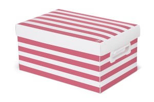 CAIXA POLIBRAS ORGANIZADORA MULTIUSO M METALIC ROSE