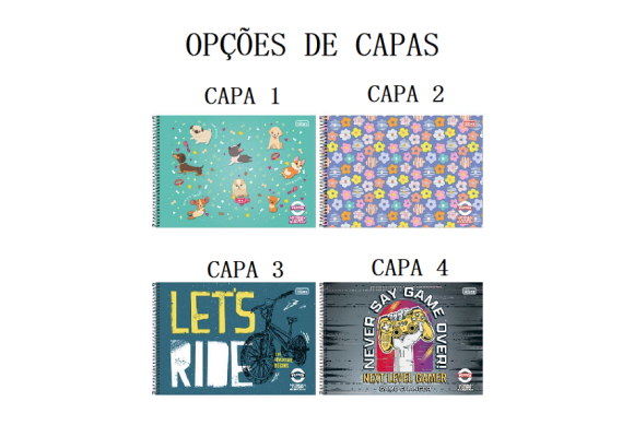 https://www.colegiomaia.papelariapremium.com.br/image/cache/data/eftr/Img_ftr_rp_395601-580x400.PNG