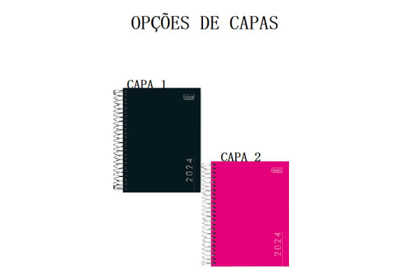 https://www.colegiomaia.papelariapremium.com.br/image/cache/data/eftr/Img_ftr_rp_409301-580x400.PNG